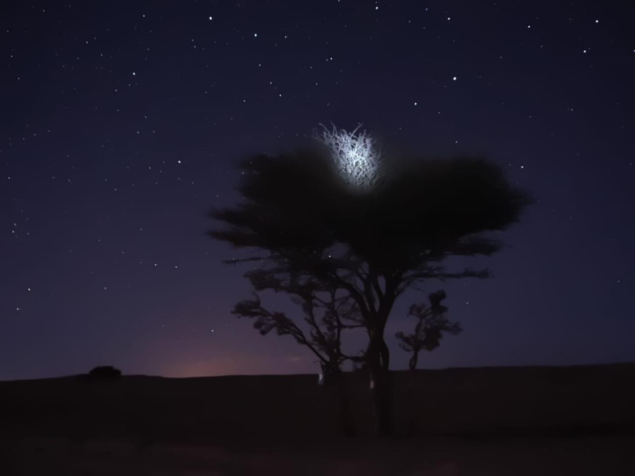 Tuareg Luxury Camp Hotel Merzouga Ngoại thất bức ảnh